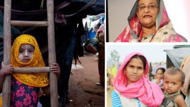 روہنگیا پناہ گزینوں کی وجہ سے سلامتی اور استحکام کو سنگین خدشات لاحق ہیں: شیخ حسینہ