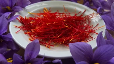 Kashmir: رواں سال زعفران Saffron کی پیداوار میں 30 فیصد کا اضافہ