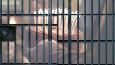 جیل کے اندر سالگرہ منانے پر 5 قیدیوں کیخلاف کیس درج