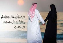 بیوی نے شوہر سے کہا تم مجھ پرمیرے باپ کی طرح ہو؟