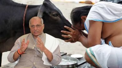 ویلنٹائن ڈے پر گائے کی پوجا کی جائے: بی جے پی وزیر