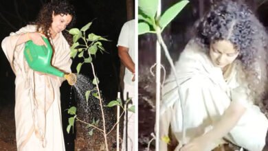 گرین انڈیا چیالنج، اداکارہ کنگنا رناوت نے پودا لگایا