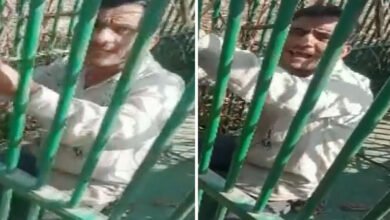 ویڈیو: مرغے کو پکڑنے کیلئے چیتے کے پنجرہ میں داخل ہوا شخص پنجرہ میں ہی پھنس گیا