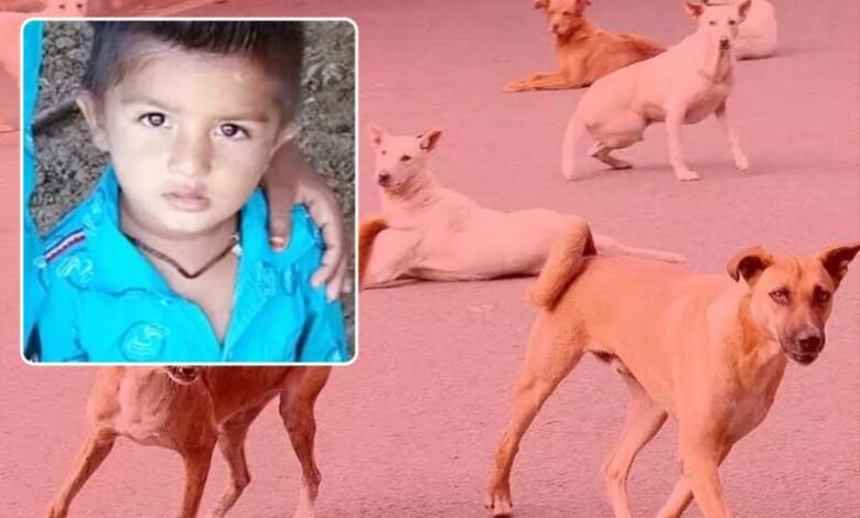 آوارہ کتوں نے ایک اور معصوم بچے کی جان لے لی،  کھمم میں دلخراش واقعہ