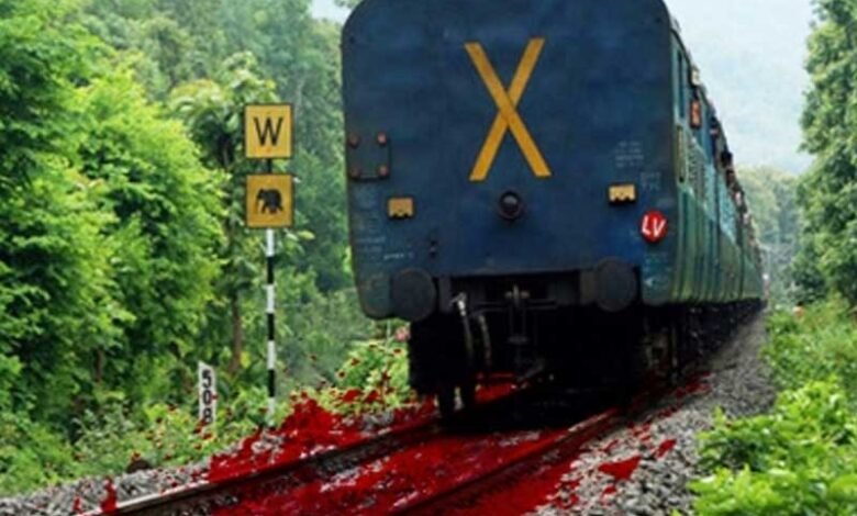 ستنا میں ایک جوان نے ٹرین کے سامنے کود کر خودکشی کی