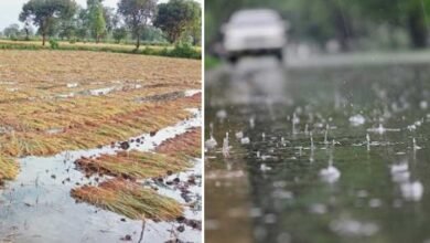اضلاع میں بے موسم بارش اور ژالہ باری