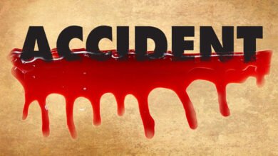 اے پی کے ضلع پرکاشم میں سڑک حادثہ۔تلگودیشم کے سابق ایم ایل اے شدید زخمی
