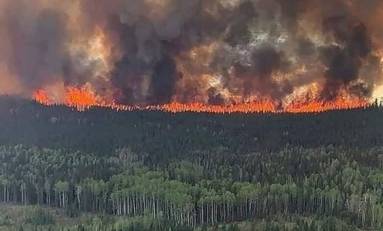 کناڈا میں مزید 10 جنگلات میں آتشزدگی