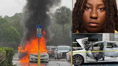 فلوریڈا میں ماں شاپنگ کرتی رہی اور کار میں 2 بچے آگ کی لپیٹ میں آگئے