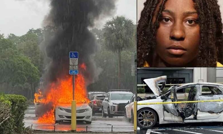 فلوریڈا میں ماں شاپنگ کرتی رہی اور کار میں 2 بچے آگ کی لپیٹ میں آگئے