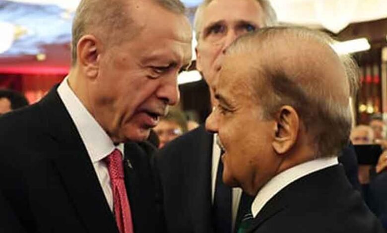 آپ کیلئے آم لایا ہوں‘ شہباز شریف کی ترک صدر سے دلچسپ گفتگو