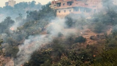 شمالی افریقہ میں گرمی سے الجزائر کے جنگلات میں آتشزدگی، 34 افراد ہلاک