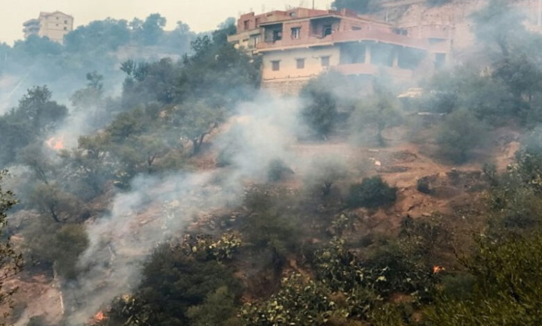 شمالی افریقہ میں گرمی سے الجزائر کے جنگلات میں آتشزدگی، 34 افراد ہلاک