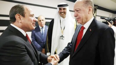 ترکی اور مصر کے درمیان 10 سال بعد سفارتی تعلقات بحال