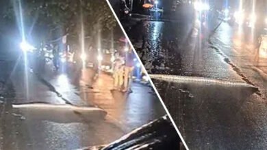 حیدرآباد میں بارش کے دوران سڑک پر اژدھا