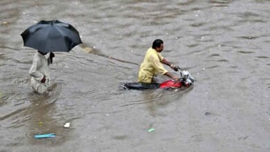 پاکستان میں موسلادھار بارش نے 50 جانیں لیں