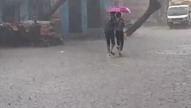 تلنگانہ کے اضلاع منچریال اور عادل آباد کے بیشتر حصوں میں بارش کا سلسلہ جاری
