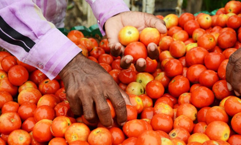 حیدرآباد میں ٹماٹر کی قیمت فی کلو 200 روپئے ہوگئی