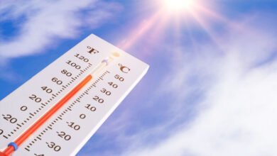 برطانیہ میں جون کے دوران 140 سال کا ریکارڈ بلند درجہ حرارت ریکارڈ