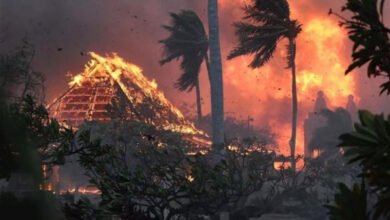 ہوائی میں جنگل کی آگ سے مرنے والوں کی تعداد 106 ہو ئی