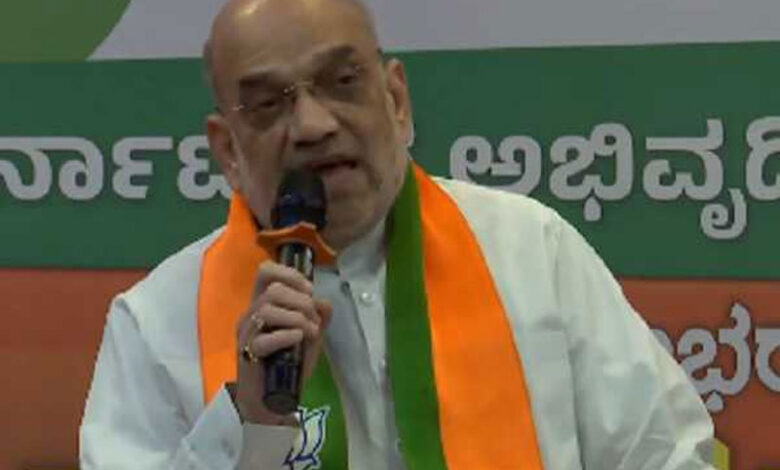 سردار پٹیل نہ ہوتے تو ریاست حیدرآباد برقرار رہتی: امیت شاہ