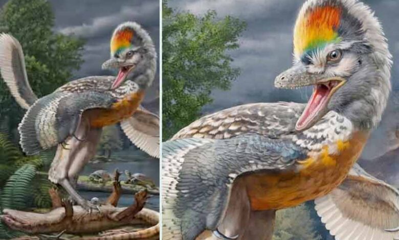 ڈائنا سور سے مشابہت رکھنے والا خوفناک پرندہ دریافت