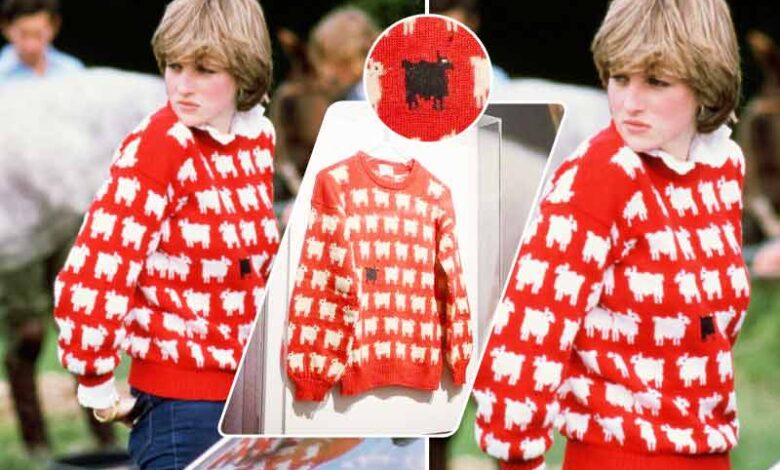 شہزادی ڈیانا کا بلیک شیپ سویٹر 10 لاکھ ڈالر میں نیلام