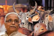 گائے کا تحفظ‘ تمام مذاہب اور ملکوں کے مفاد میں: آر ایس ایس