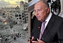 غزہ میں جنگ بندی میں توسیع کو مکمل جنگ بندی میں تبدیل کیا جانا چاہیے:مصری وزیر خارجہ
