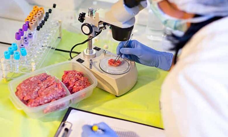 اٹلی نے لیبارٹری سے تیار کردہ گوشت پر پابندی عائد کر دی