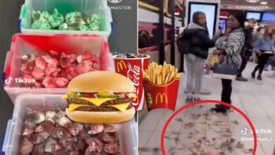 فلسطین کے حامی شخص نے میکڈونلڈز (McDonald’s) میں چوہے چھوڑ دئے
