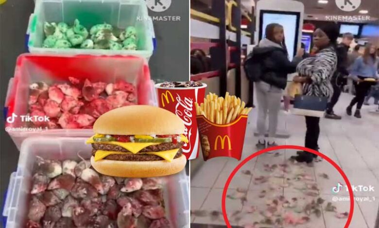 فلسطین کے حامی شخص نے میکڈونلڈز (McDonald’s) میں چوہے چھوڑ دئے