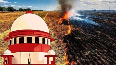 دہلی آلودگی: سپریم کورٹ نے پانچ ریاستوں کو پرالی جلانے سے روکنے کا حکم دیا