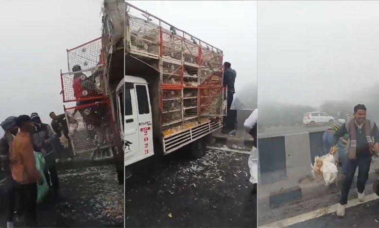 آگرہ میں مرغیوں کا ٹرک کہر کے باعث حادثہ کا شکار، پھر کیا ہوا؟ (ویڈیو دیکھیں)