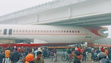 پل کے نیچے طیارہ پھنس گیا، دیکھنے کیلئے عوام کا ہجوم اُمڈپڑا