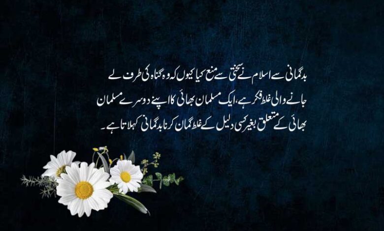 رہے دیکھتے اوروں کے عیب و ہنر