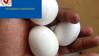 تلنگانہ: ایک شخص آنگن واڑی مرکز کے انڈے کھلے بازار میں فروخت کرتاہوا پکڑا گیا