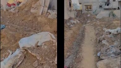 قبریں اکھاڑ کر نکالی گئی شہید فلسطینیوں کی لاشوں کے مناظر (دردناک ویڈیو)