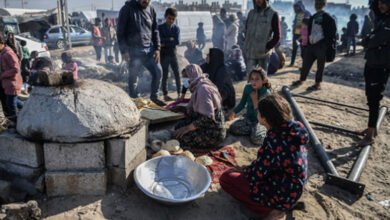 مصر نے امارات اور اردن کی شرکت کے ساتھ غزہ کی پٹی میں خوراک اور طبی امداد کی ایک نئی کھیپ پہنچائی