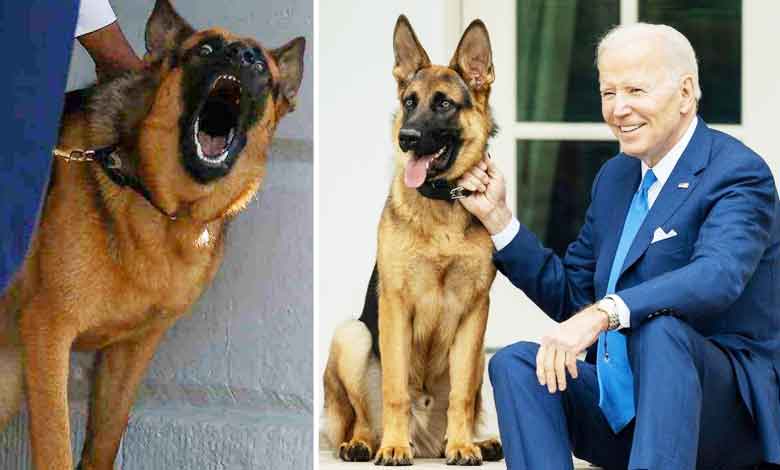 امریکی صدر جوبائیڈن کے چہیتے کتے کو وائٹ ہاؤس سے نکال دیاگیا