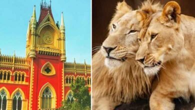 شیروں کے نام اکبر اور سیتا کیوں رکھے گئے؟: کلکتہ ہائی کورٹ کا استفسار، نام تبدیل کرنے کی ہدایت