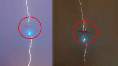 آسمان میں اُڑتے جہاز پر اچانک بجلی گر گئی، مسافرین خوف کے مارے چیخنے لگے (ویڈیو وائرل)