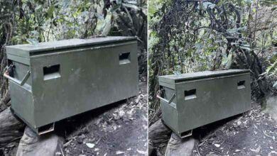 جنگل کے بیچوں بیچ پڑے پراسرار سبز صندوق میں کیا ہے کوئی نہیں جانتا!