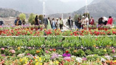 کشمیر کے مشہور باغ گل لالہ کو سیاحوں کے لئے کھول دیا گیا