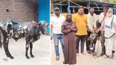 غریب مسلم خاندان کو مندر کے پجاری نے بیل کا عطیہ کردیا (ویڈیو)