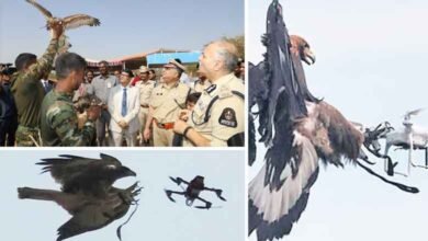 غیرقانونی ڈرونس کو پکڑنے عقابوں کا استعمال، ملک کا پہلا ایگل اسکواڈ، تلنگانہ پولیس کا کارنامہ (ویڈیو)