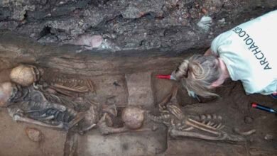 اجتماعی قبر سے ایک ہزار ڈھانچے دریافت، ماہرین دنگ رہ گئے