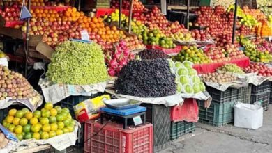 رمضان میں حیدرآباد میں پھلوں کی قیمتوں میں اضافہ نے غریب کی جیب میں سوراخ کردیا
