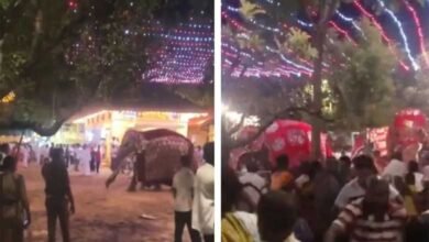 ہندوؤں کے مذہبی تہوار کے دوران ہاتھی مشتعل، 13 افراد زخمی (ویڈیو دیکھیں)