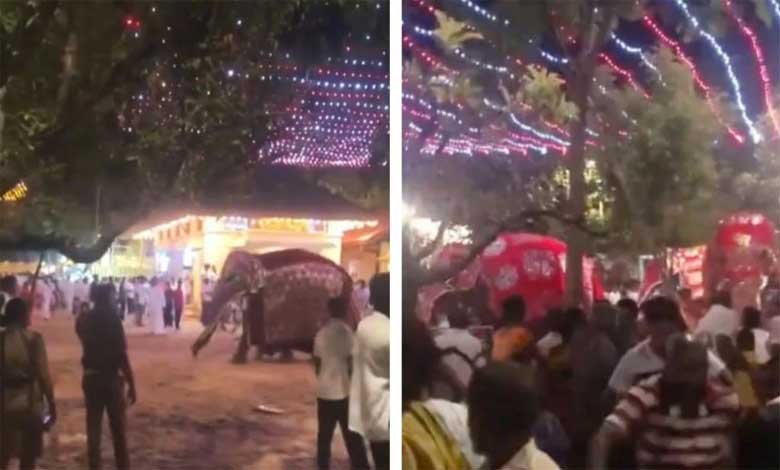 ہندوؤں کے مذہبی تہوار کے دوران ہاتھی مشتعل، 13 افراد زخمی (ویڈیو دیکھیں)